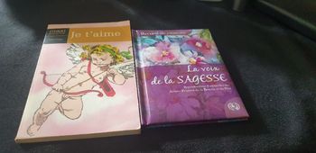 Lot de 2 livres