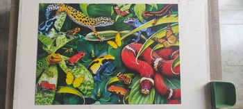 Puzzle animaux de la jungle