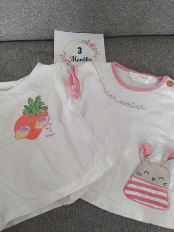 Lot séparable 10 vêtements 3 mois fille