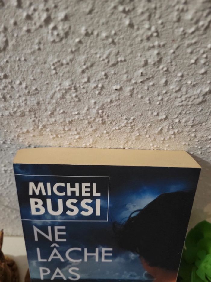 * Livre roman "Ne lâche pas ma main" de Michel Bussi - photo numéro 3