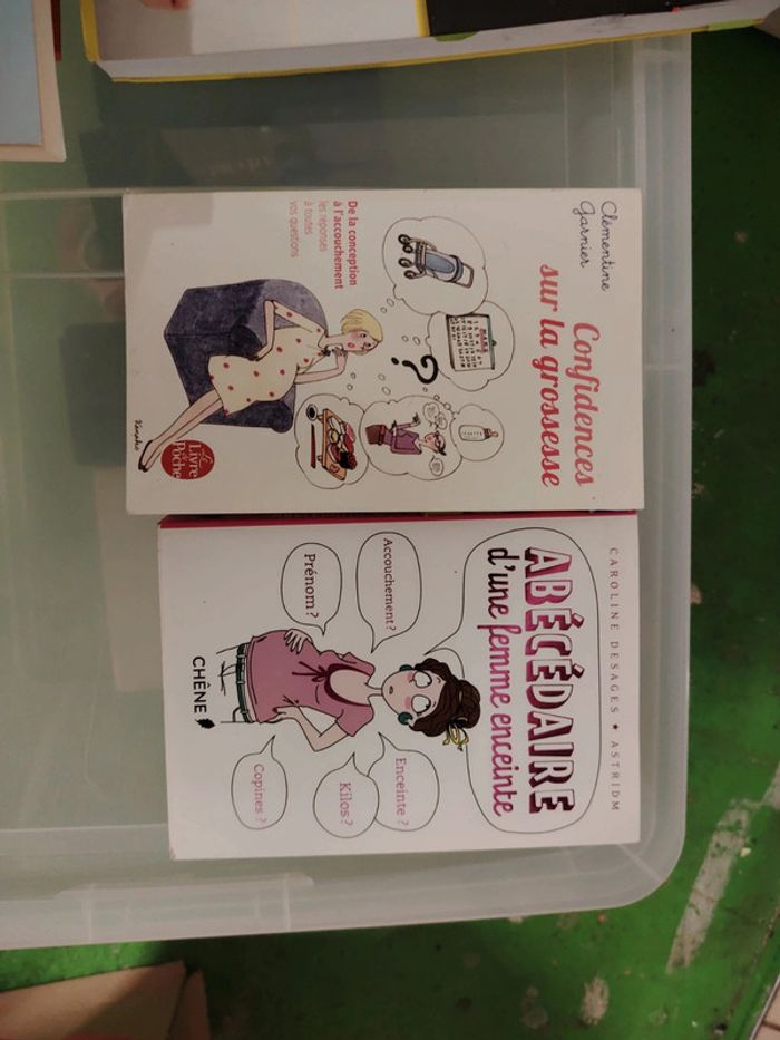 Lot 9 livres grossesses - photo numéro 4