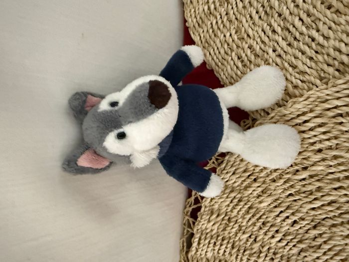 Nici Husky Jack, garçon en pull - photo numéro 4