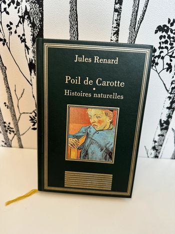 Livre Poil de carotte Histoires naturelles