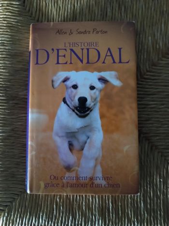 Livre l'histoire d'endal