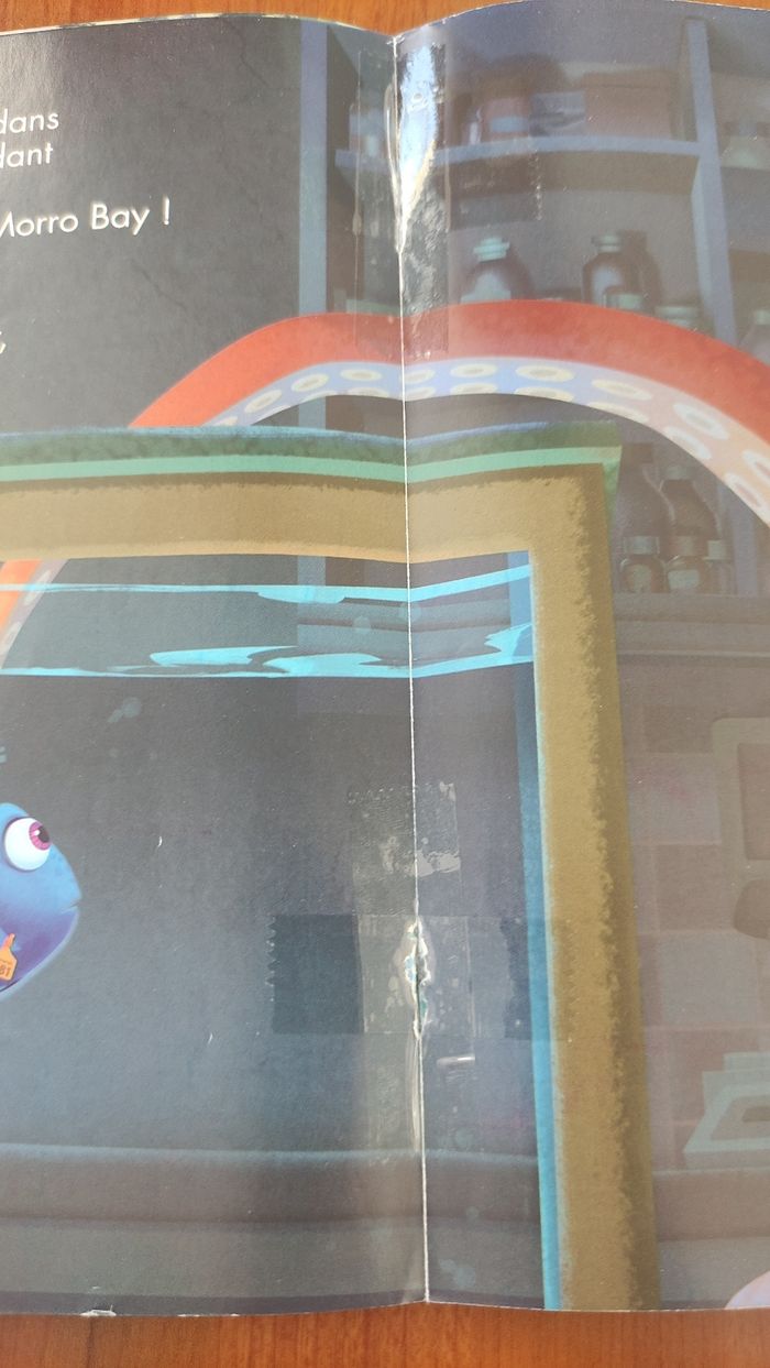 Livre Disney Pixar le monde de Dory - photo numéro 5