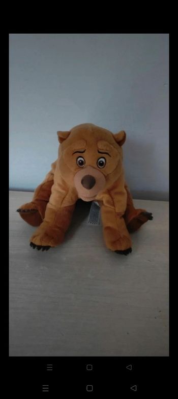 Peluche frère des ours