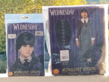 Déguisement famille Addams mercredi 11/13 ans et perruque
