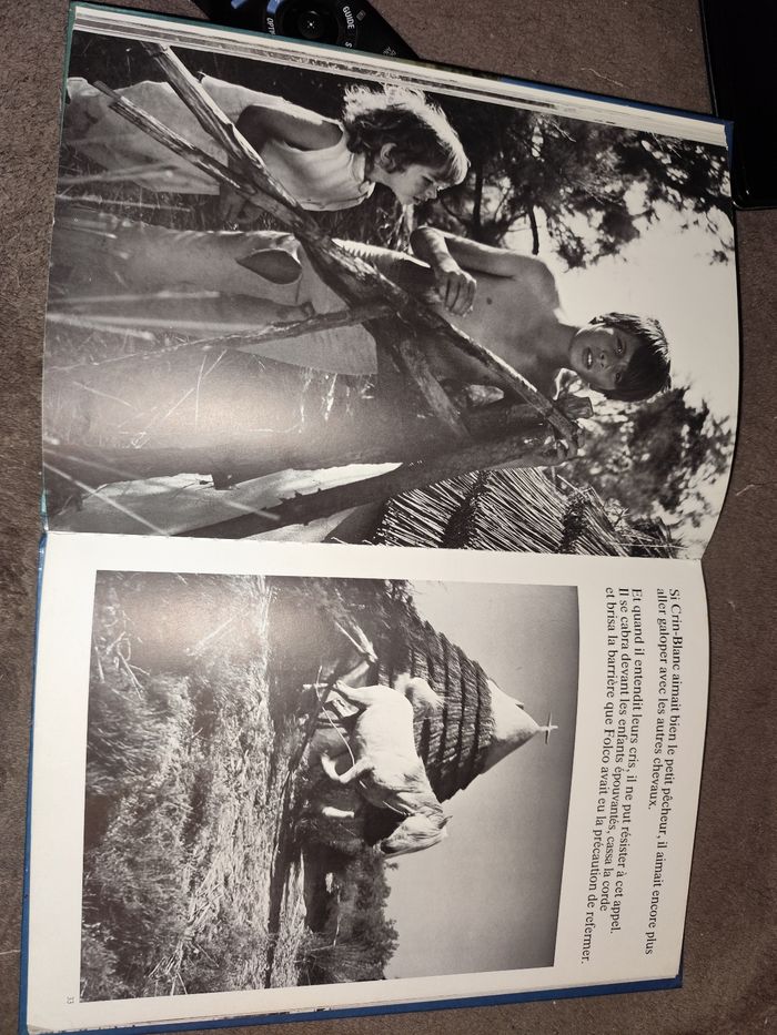 Crin blanc Albert lamorisse édition de juin 1984 histoire et photographie - photo numéro 10