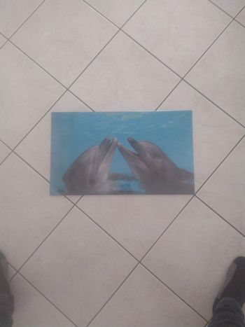 Sous main plastifié