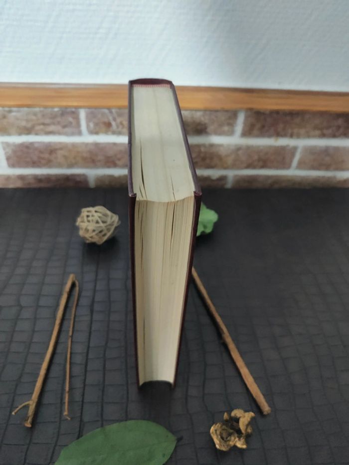 Le vicomte de Bragelonne / Tome 1 - Alexandre Dumas - photo numéro 3