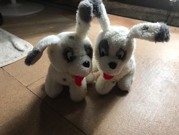 Petits chiens jumeaux