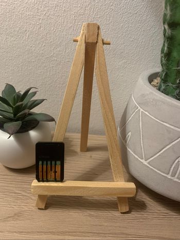 Super Mario bros wonder