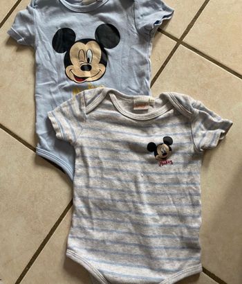 Lot 2 body mickey
