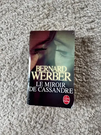 Livre le miroir de Cassandre