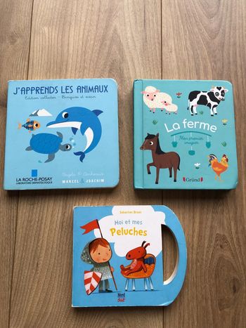 Lot livres cartonné
