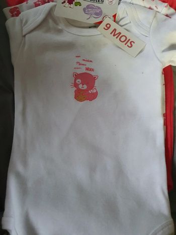 Lot 3 body bébé 9 mois