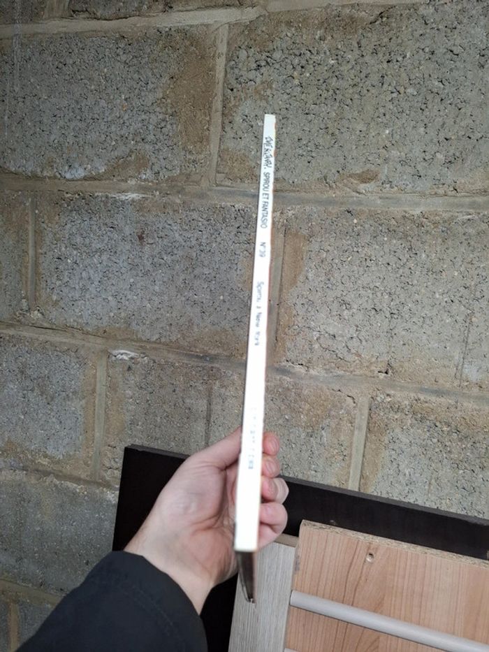 Spirou et Fantasio à New York - photo numéro 3