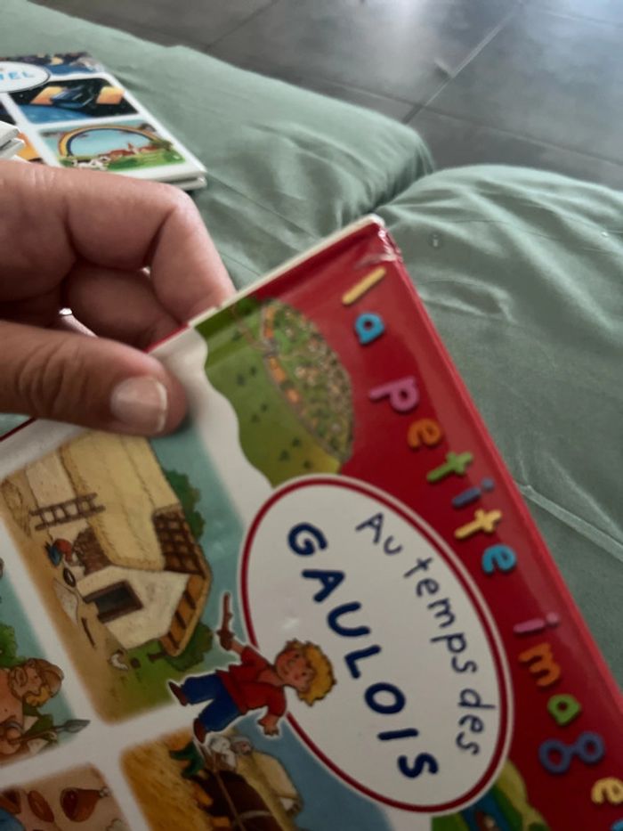 La petite imagerie au temps des gaulois - photo numéro 9