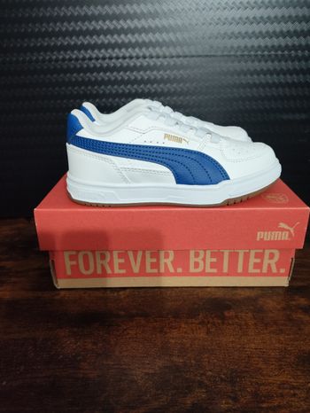 Basket puma 