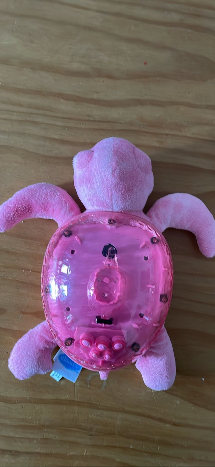 Tranquil turtle - photo numéro 5