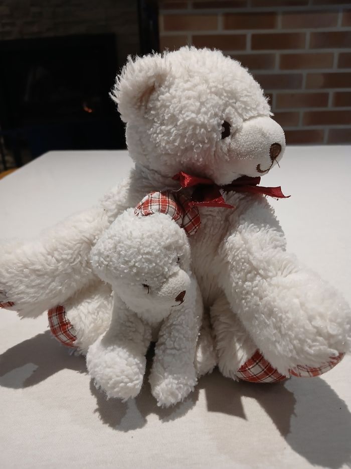 Ours et ourson