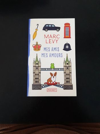 Mes amis mes amours - Marc Levy