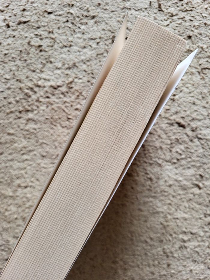 Livre Rue de la Soie de Régine Deforges - Tome 5 de la saga La Bicyclette bleue - photo numéro 3