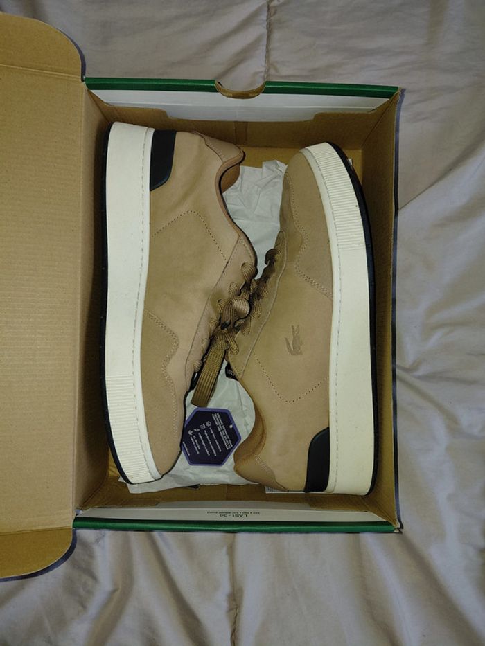 Lacoste