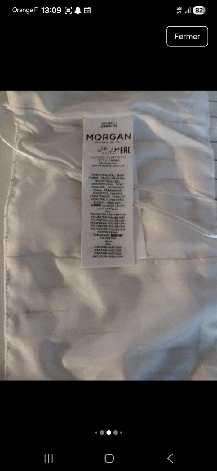 Morgan - photo numéro 6