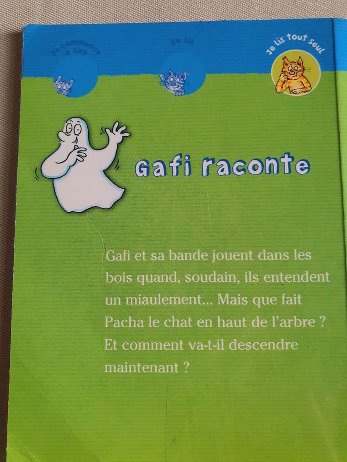 Livre enfant (Gafi raconte) - photo numéro 3