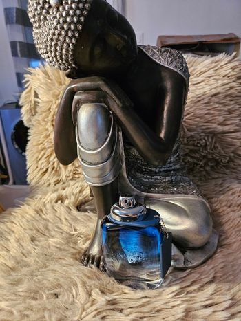 Parfum neuf : Coach Man Blue Eau de Toilette 100 ML