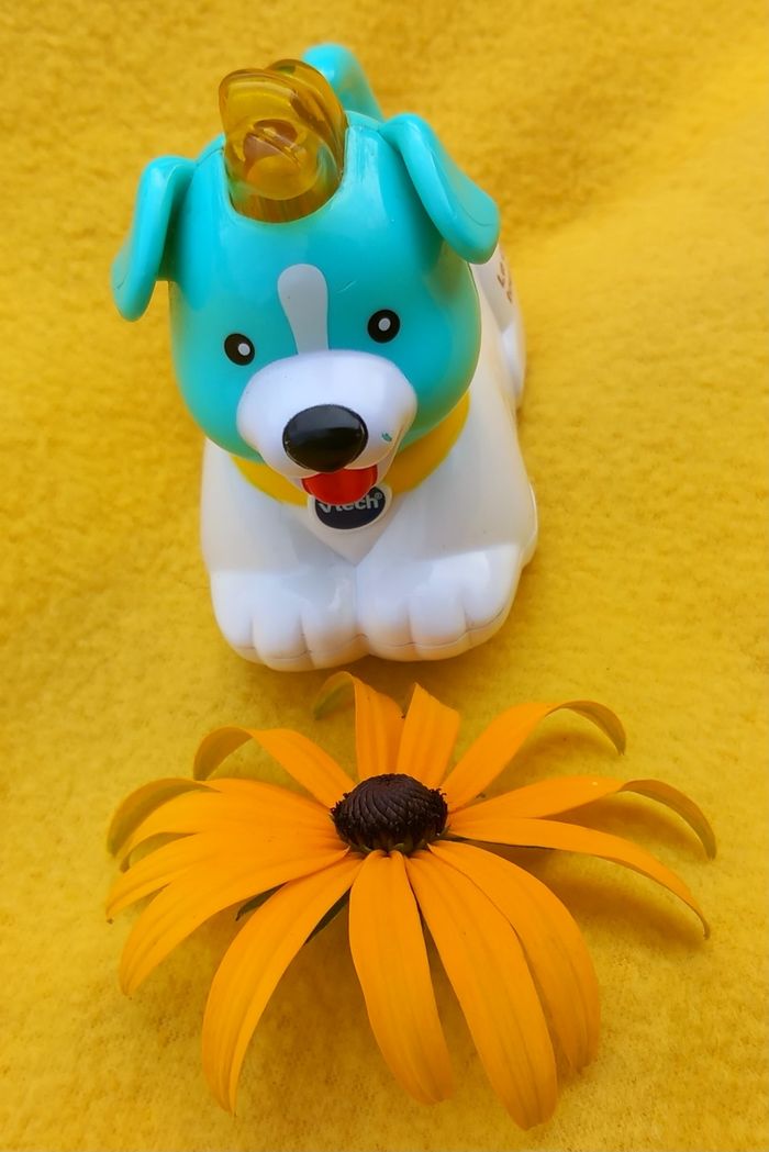 Tut Tut Animo Toutou 🐶 Vtech - photo numéro 7