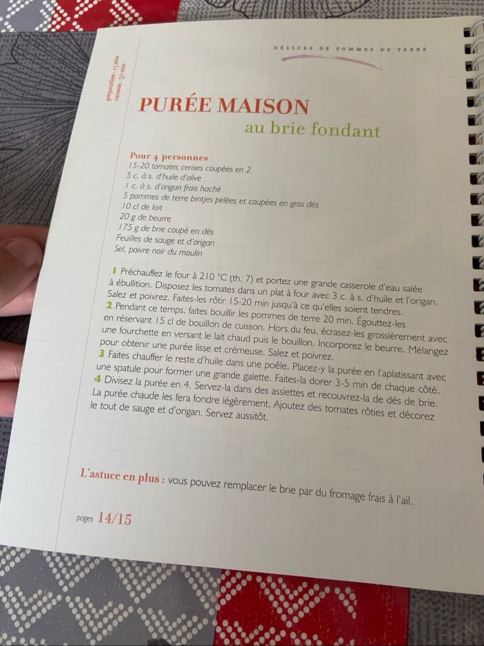 ~ carnet de cuisine ~ délices de pomme de terre - photo numéro 3