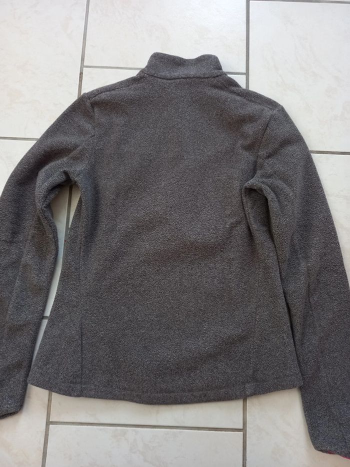 Polaire - photo numéro 2