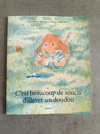 Livre c'est beaucoup de soucis d'élever un doudou école des loisirs