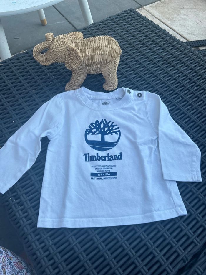 TEE shirt manche longue timberland