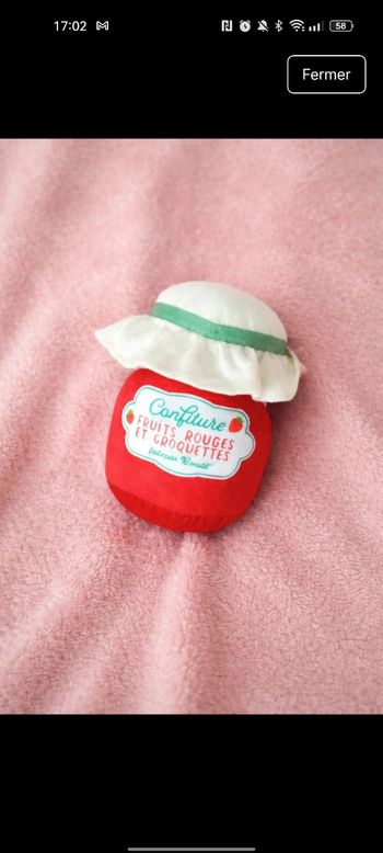 🍓 Jouet pour chien – Pot de confiture avec pouic-pouic (NEUF)