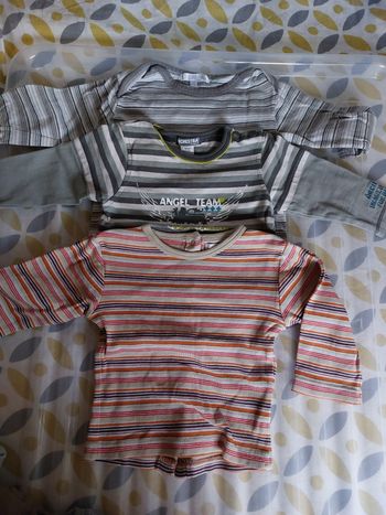Lot tee shirt manches longues