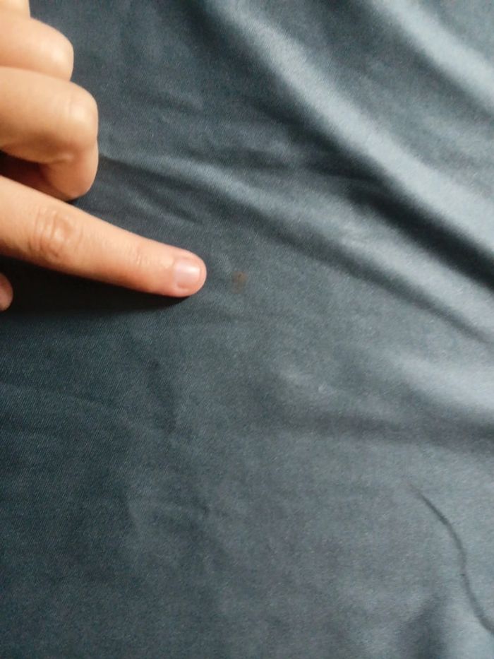 Polo homme Taille 44 - photo numéro 2