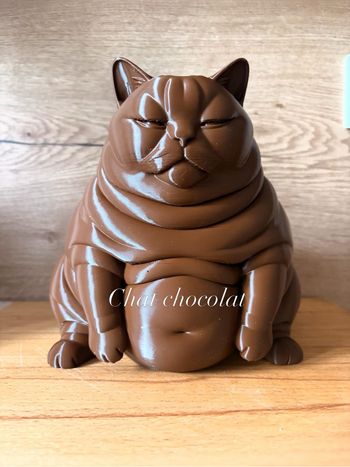 Chat chocolat 