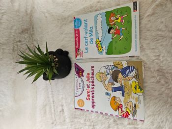 🌟Livre Enfants - "Le Cerf-Volant de Mila"