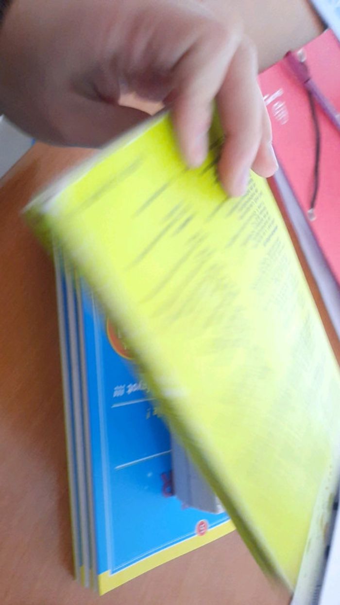 Lot 5 livre annales bac es l et dico allemand - photo numéro 7