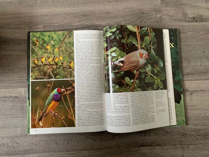 Le monde fascinant des oiseaux - photo numéro 3