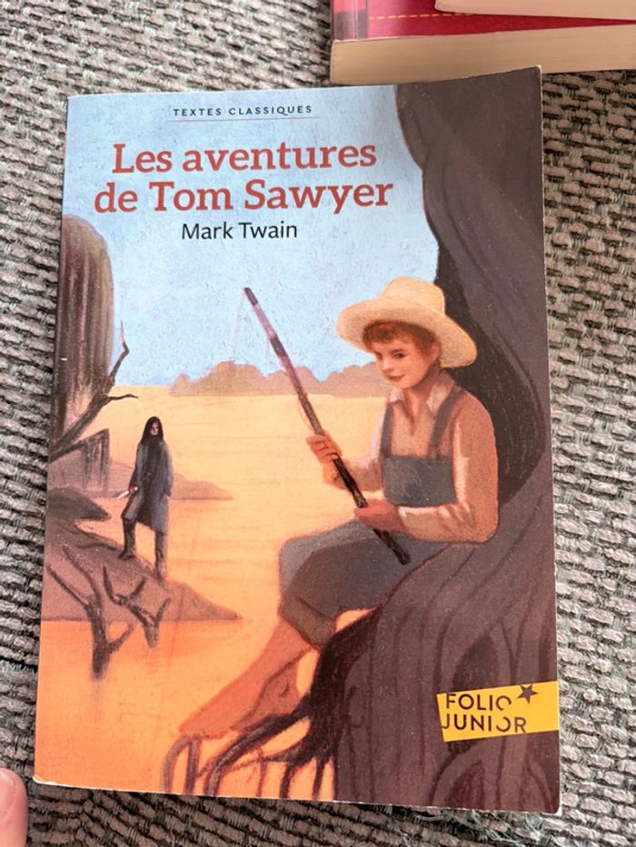 Les aventures de Tom Sawyer