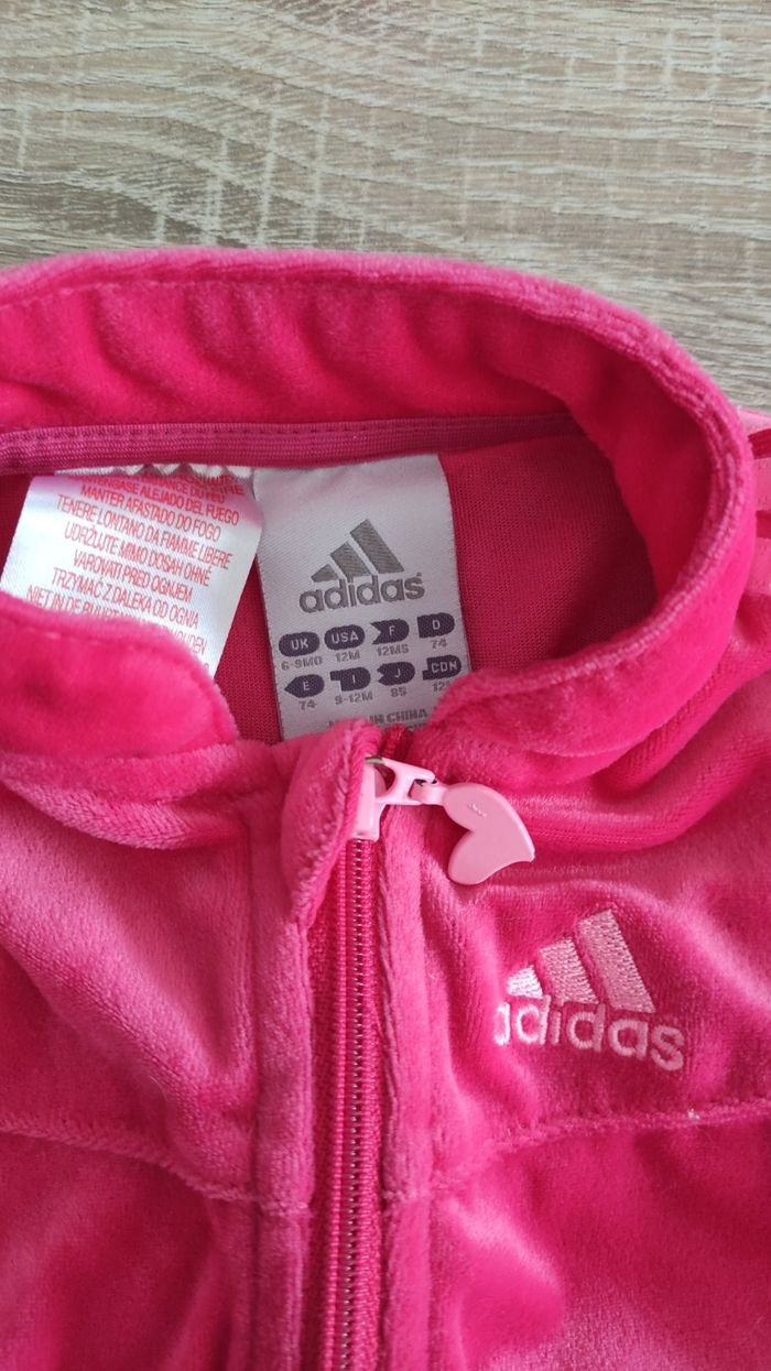 Veste adidas 12 mois