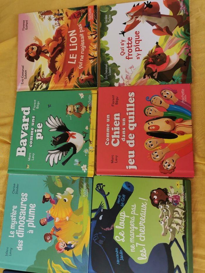 Lot de 10 livres enfants  edition Hachette