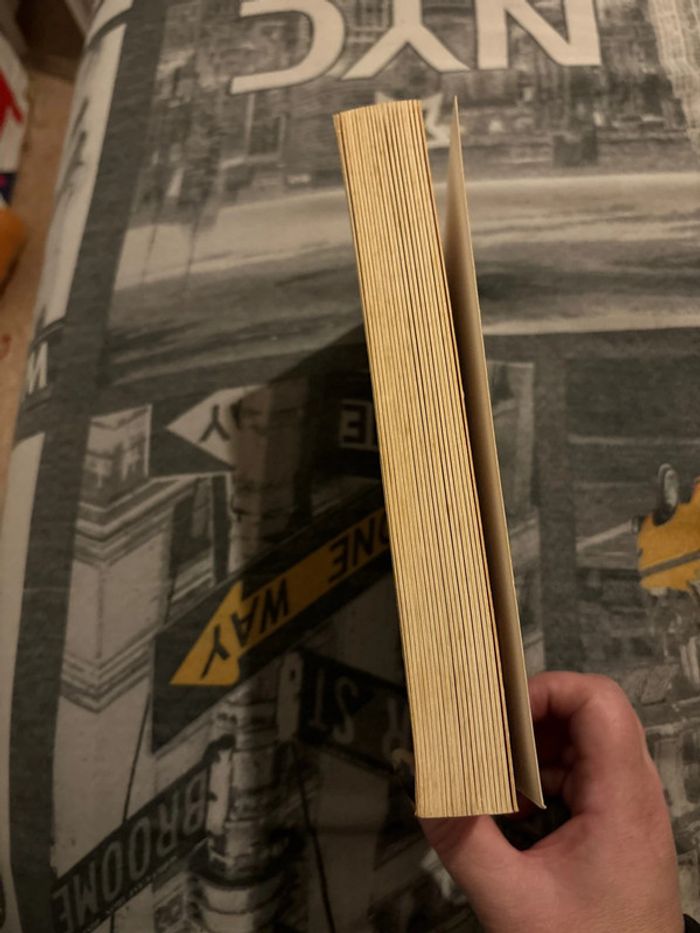 Livre - photo numéro 5