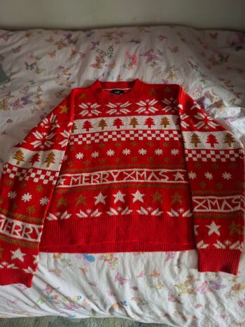 Pull de noel 