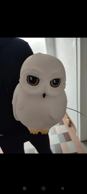 Veilleuse Edwige harry Potter