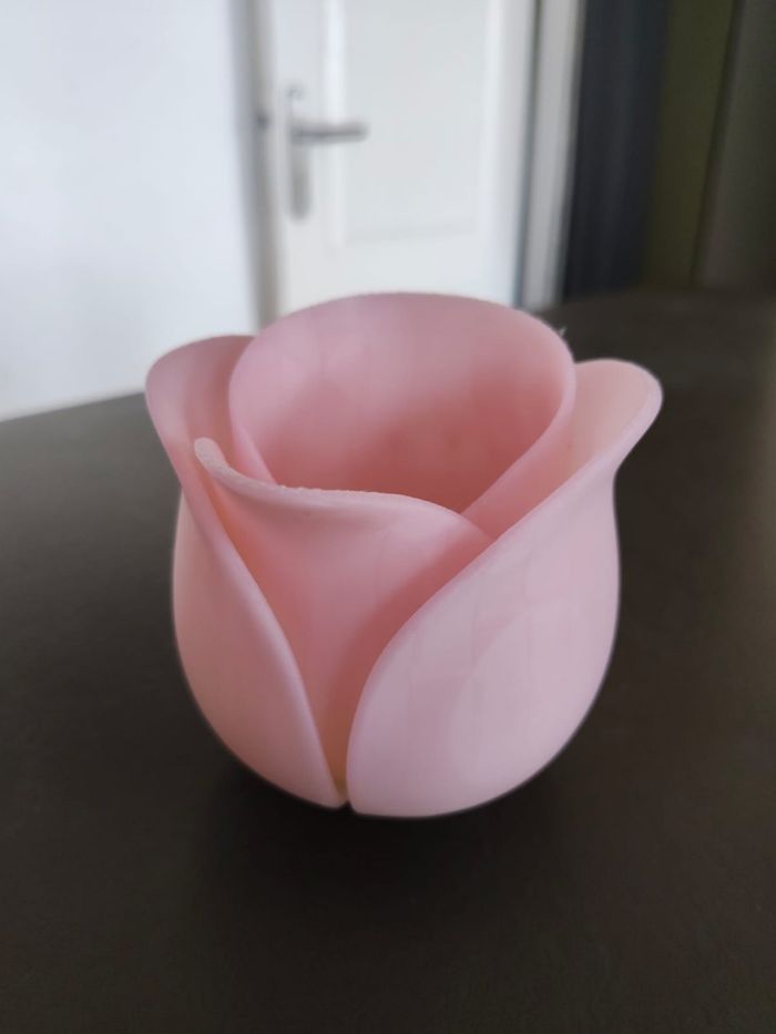 Pot tulipe uv - photo numéro 3